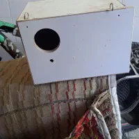 لونه عروس