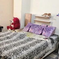 اجاره واحد مبله شیک وتمیز|اجارهٔ کوتاه‌مدت آپارتمان و سوئیت|بندرعباس, |دیوار