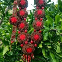میخک.گردنبند با میخک