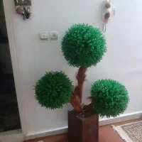 یک عدد درختچه زیبا کاملا نو و یک عدد تابلو دیواری