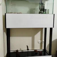 آکواریوم شیک و تمیز