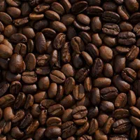 قهوه گلد دسته اول بدون واسطه