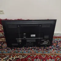 تلویزیون43پلاسما|تلویزیون و پروژکتور|کلاله, |دیوار