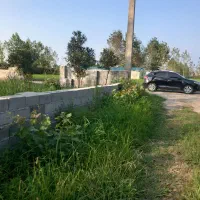 ۲۰۵ سند تک برگ  دورتادور دیوار  منطقه ویلا نشین