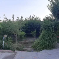 نگهبانی وسرایداری