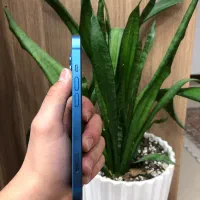 iPhone 13|موبایل|اصفهان, هفتون|دیوار