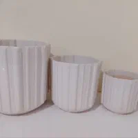 گلدون