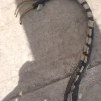 لوله مسی