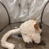 عروسک بامزه خارجی|اسباببازی بچه|تهران, سلسبیل شمالی|دیوار