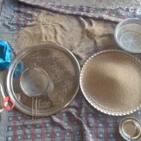 گل گیاه|گل و گیاه طبیعی|کوهدشت, |دیوار