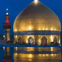 فلش پیداشده