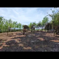 فروش زمین داخل طرح|فروش زمین و ملک کلنگی|رودبنه, |دیوار