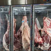 گوشت گوساله لخم تازه|خوردنی و آشامیدنی|کرج, شاهین‌ویلا|دیوار