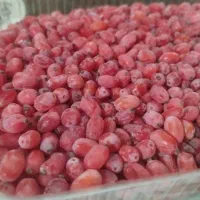 زرشک دونه شده بادست بدون دم و برگ قیمت هرکیلو۲۰۰|خوردنی و آشامیدنی|مشهد, ترمینال|دیوار