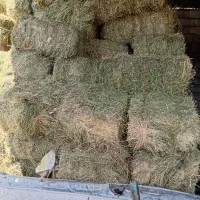 پرس یونجه خشک