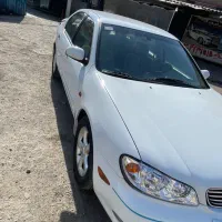 ماکسیما استثنایی درجه یک|خودرو سواری و وانت|پرند, فاز ۱|دیوار