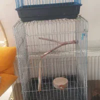 دوتا قفس نو نو|لوازم جانبی حیوانات|کرمانشاه, |دیوار