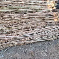 فلم چنار آب دار پل چنار|خدمات باغبانی و درختکاری|فلاورجان, |دیوار