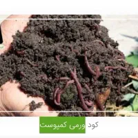 کود ورمی کمپوست