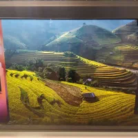 فروش اقساطی تلویزیون ۶۵ اینچ اسنوا ماهانه۳/۷۰۰/۰۰۰