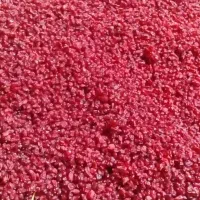 زرشک خشک ، باغ زرشکی ، شاخ زرشک|عمدهفروشی|بیرجند, |دیوار