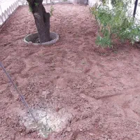 انجام کلیه خدمات باغبانی تخصصی در سه اکیپ بخوانید|خدمات باغبانی و درختکاری|تبریز, |دیوار