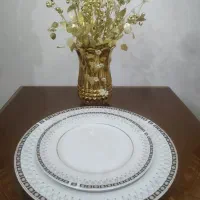 بشقاب پلو خوری و پیش دستی چینی|ظروف سرو و پذیرایی|رباط‌کریم, رباط‌کریم|دیوار