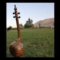 کمانچه حرفه ای کلکسیونی