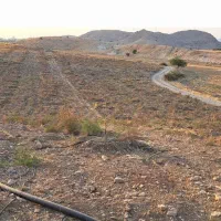 زمین باغی روستای سرآب‌ننیز|فروش دفتر صنعتی، کشاورزی، تجاری|دوگنبدان, |دیوار