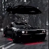 جذب راننده با خودرو،(بین شهری)