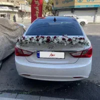 اجاره خودرو شخص هستم دو‌تومن ضمانتی نیاز نیست|خودرو اجاره‌ای|تهران, تهرانسر مرکزی|دیوار