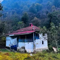 1600مترخانه محوطه سنتی پلاک 1 جنگل در دل بهشت|فروش خانه و ویلا|فومن, |دیوار