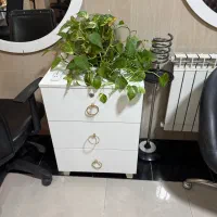 وسایل سالن زیبایی|آرایشگاه و سالنهای زیبایی|گرگان, |دیوار