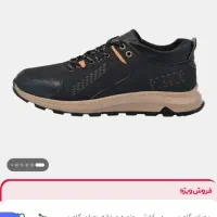 کفش|کیف، کفش، کمربند|سبزوار, باهنر|دیوار