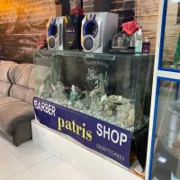 آکواریوم شیشه خم