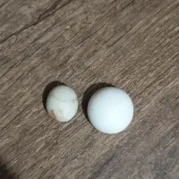 سنگ آسیاب
