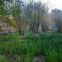 باغ کوهپایه