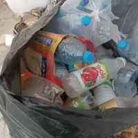 قوم قومه