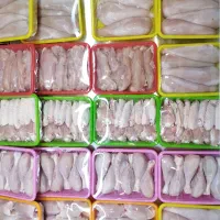 استخدام نیرو کار در مرغ فروشی مرغ خورد کن و قصاب
