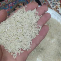 فروش برنج چمپا به شرط پخت