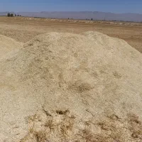 کاه جو|لوازم جانبی حیوانات|سروستان, |دیوار