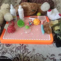 سلام مژادالبیز۷ماهه شناسنامه داره با هوش وبازیگوش