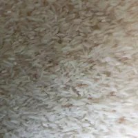 برنج طارم گلین