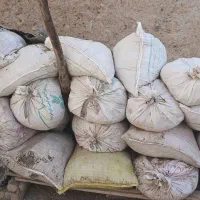 کود کبوتر(کفتر)|خدمات باغبانی و درختکاری|کرمان, |دیوار