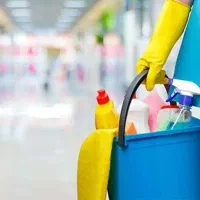 خانم جهت امور منزل