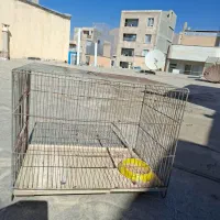 قفس پرنده|لوازم جانبی حیوانات|کرمانشاه, |دیوار