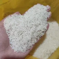 برنج درجه یک هاشمی فومن|خوردنی و آشامیدنی|قم, شهرک قدس|دیوار