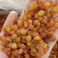 کشمش پلویی گردو لوبیاآلبالو بادام نخود عدس