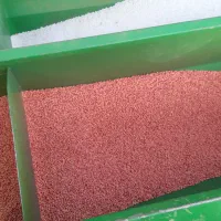 گندم آبی پیشگام مادری|گل و گیاه طبیعی|اشترینان, |دیوار