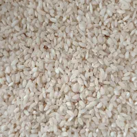 برنج گرده سید آباد کیاسر